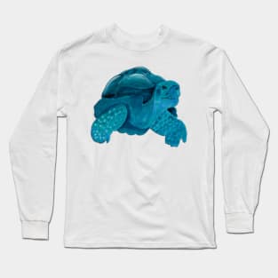 Blue turtle Long Sleeve T-Shirt